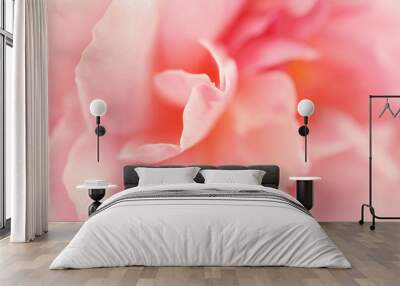 Sweet roses in soft color style for background
 Wall mural