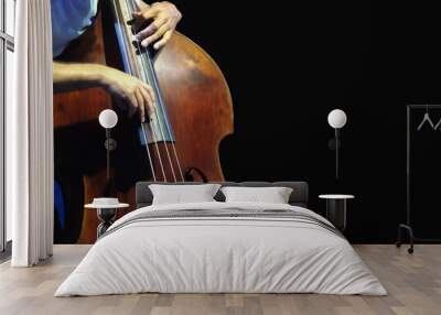 Double bass. The musician playing contrabass musical instrument on black background. Wall mural