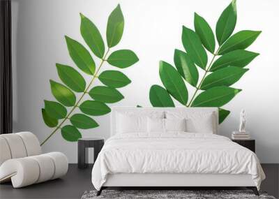 Fresh green twig leaves isolated on transparent background, decorative plant, natural floral design Wall mural