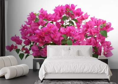 Pink Bougainvillea flower isolated on transparent background Wall mural