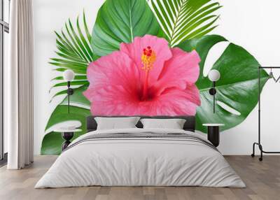 Pink Hibiscus flowers and monstera leaves in a tropical arrangement isolated on transparent background Wall mural