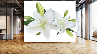 White Lily flower bouquet isolated on transparent background Wall mural