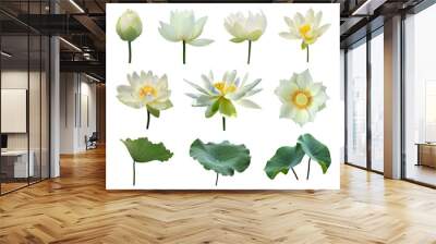 White lotus flowers and green leaf  isolate on white background Wall mural