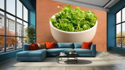 Watercress Wall mural