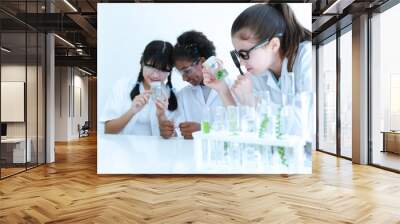 Group of diversity teenage scientist observing and viewing test tube samples in science class. Wall mural