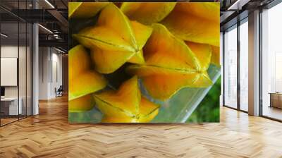 close-up view of freshly harvested starfruit or carambola (Averrhoa carambola) Wall mural