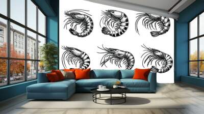 set of shrimp illustration. hand drawn black and white shrimp line art illustration, isolated white background Wall mural