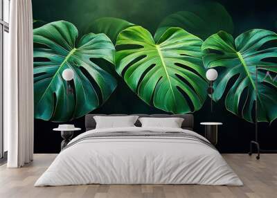 Close-up shot of three large monstera leaves with intricate veining, set against a dark background. Wall mural