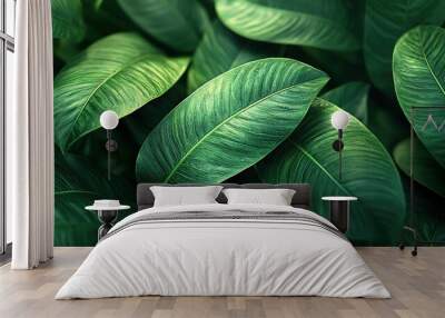 Lush green leaves with intricate veins create a natural pattern. Wall mural