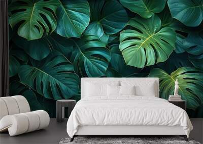 Lush green monstera leaves, tropical foliage pattern, vibrant green background. Wall mural