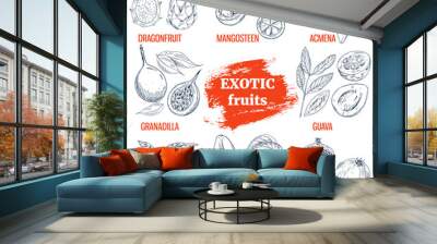 exotic fruits collection. hand drawn vector illustration Wall mural