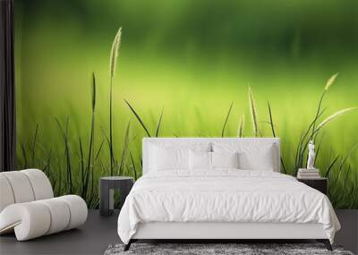 green grass on a sunny day Wall mural