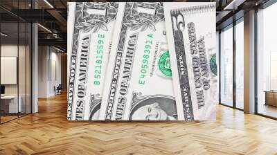 Dollars bills, cash pile background. Wall mural