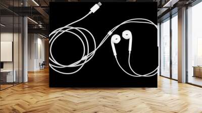 earphones on black background. Wall mural