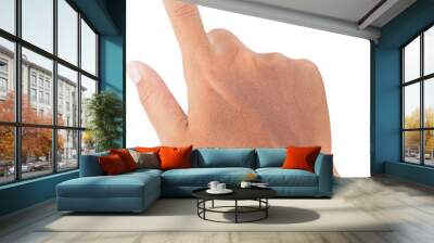 hand Wall mural