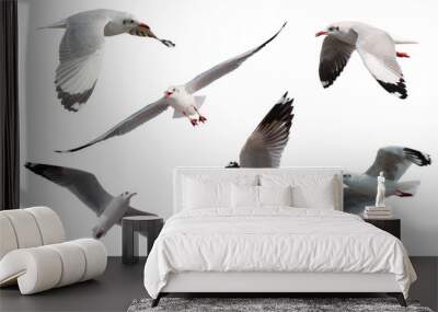 Set of seagulls flying isolated on white background Wall mural