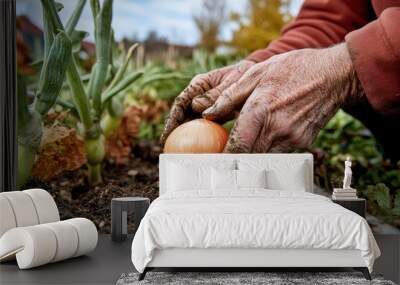 A person is holding an onion in their dirty hands and onion is surrounded by other onions Wall mural