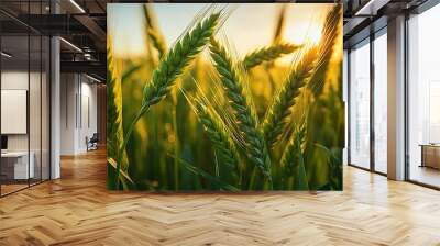 Green wheat field under golden sunlight in a close-up shot. Generative AI Wall mural