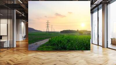 High voltage electricity distribution pole with trees shadow at sunset, electric supply transmission pylon line for energy generator technology industry Wall mural