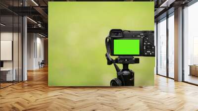 Mirrorless camera with green screen on the monopod . Green screen camera Wall mural