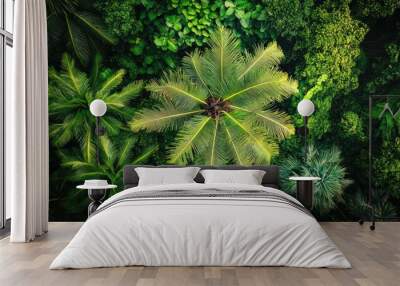 A top view of a coconut tree in a vibrant tropical forest, surrounded by diverse plant life Wall mural