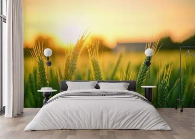 Close-up of green wheat in a field, with a blurred view of the tribune in the background. The fresh crops symbolize growth and rural tranquility. Wall mural