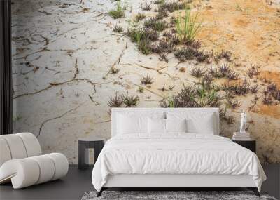 Small grass Wall mural