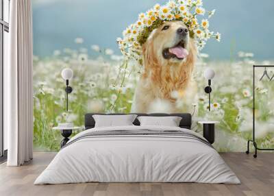 Beautiful dog with bunch Wall mural