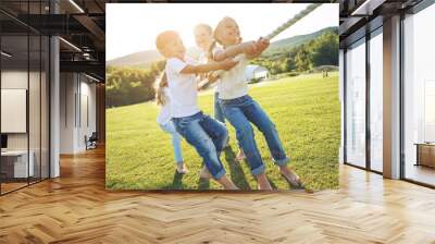 Children play tug of war in the park. A group of cute children playing actively together in nature. Cute kids outdoors. High quality photo. Wall mural