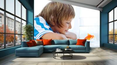 Little boy and golden fish  Wall mural