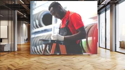 Black male mechanic choose car tire at a tire store. Expertise mechanic working in automobile repair garage. Wall mural