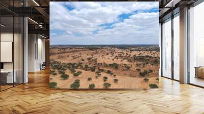 cork oaks forest field in Alentejo, portugal aerial shot  Wall mural