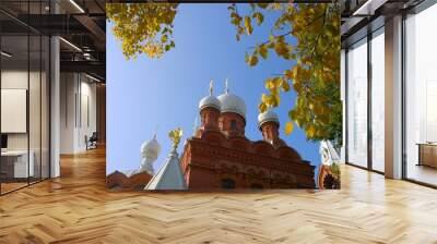 White domes of Orthodox Christian Church against blue sky background. Yellow autumn birch leaves. Fall. Beautiful ancient Temple after renovation, located in Pushkin, suburb of St. Petersburg, Russia
 Wall mural