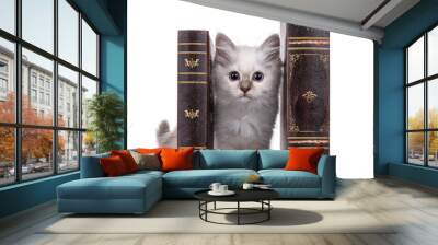 Cute Sacred Birman cat kitten, standing inbetween old brown books. Looking towards camera with breed typical blue eyes. Isolated on a white background. Wall mural