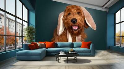 Head shot of handsome red Cobberdog aka Labradoodle dog, sitting up facing front. Looking towards camera with tongue out of mouth and wearing fake fur bunny ears. Isolated on a green trend color backg Wall mural