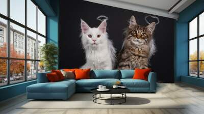 Solid white and black tabby Maine Coon cat kittens, wearing silver halo and white feathjer wings as angels. Looking at camera. Isolated on black background. Wall mural