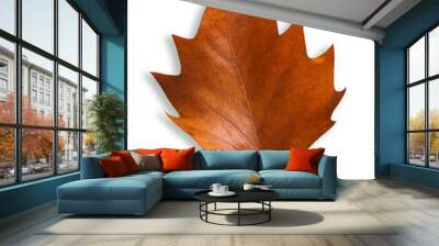 autumn brown leaf isolated on white with shadow. Wall mural