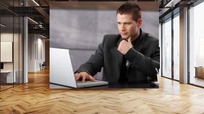 Young businessman using laptop in office Wall mural