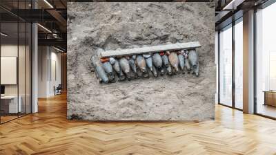 Demining dangerous items stock photography Wall mural