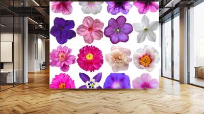 Set of colorful seasonal blooms Wall mural