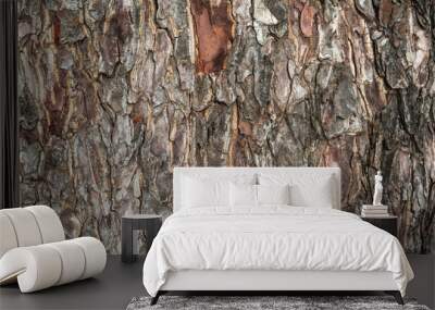 Bark Tree Texture Wall mural