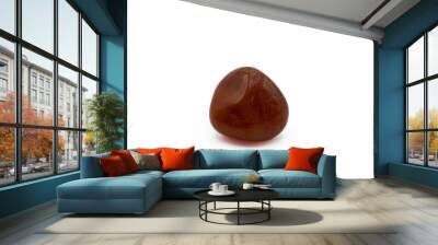 Carnelian (also spelled cornelian) is a brownish-red mineral commonly used as a semiprecious stone. It comes in a range of colors from pale orange to deep reddish-brown.  Wall mural