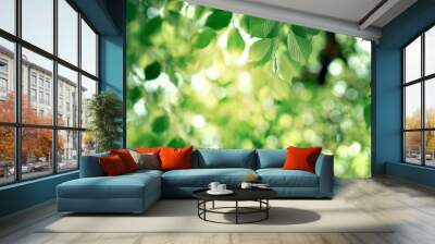 Nature of green leaf with bokeh background in summer, Natural green leaves plants with sunlight in springtime, copy space, environment ecology. Wall mural