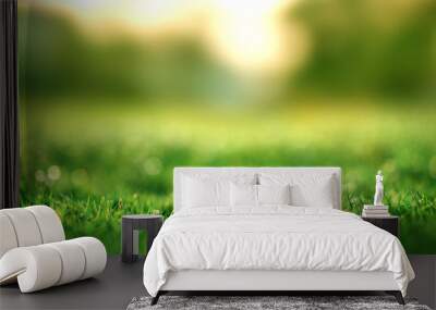 Spring and nature background concept, Closeup green grass field with blurred park and sunlight. Wall mural