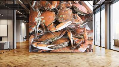 cooked delicious crab in a tray Wall mural