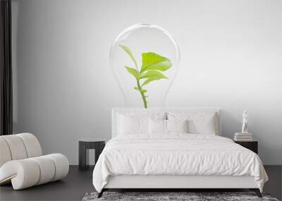 Tree growing in light bulb isolated on white background. Wall mural