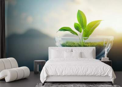 Green plant in glass bowl with soft sunlight background Wall mural