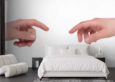 Male hand gestures isolated over the white background, set of multiple images. Images set of male caucasian hand gestures isolated on white background Wall mural