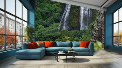 Waterfall on Kauai in Hawaii Wall mural