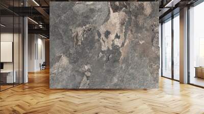 cement stone background. marble background Wall mural